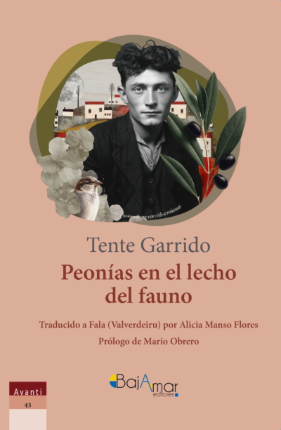 Peonías en el lecho del fauno